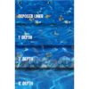 CARRIBEAN ABOVE GROUND POOL LINER - Image 2